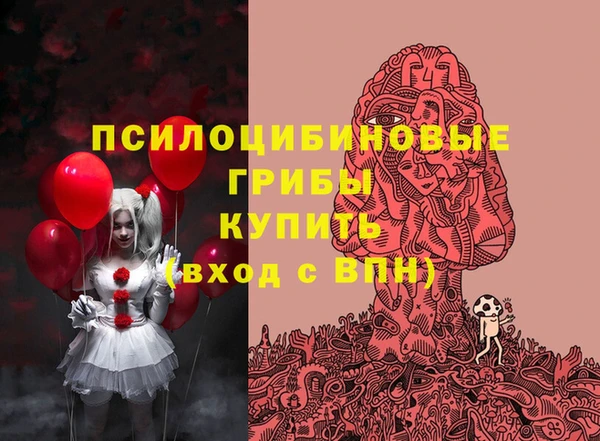 гашик Балахна