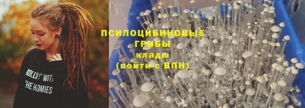 гашик Балахна