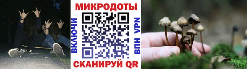 Купить закладки  Пестово  Галлюциногенные грибы мицелий 