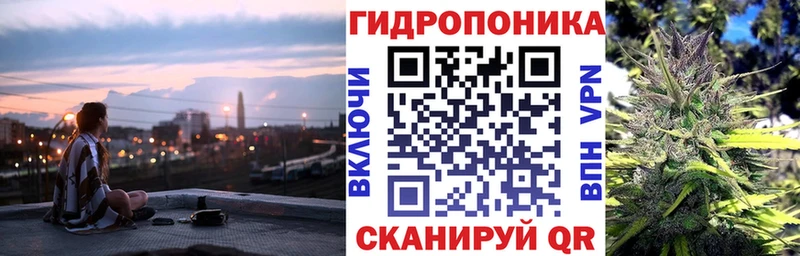 Марихуана Bruce Banner  Купить закладки  Пестово 